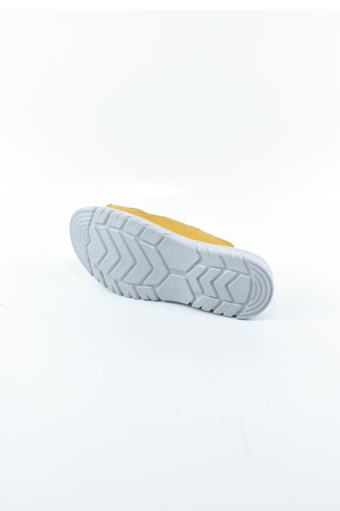 2023-ilkbahar---yaz-Hardal-2024 2-PA 3230-0001786_0